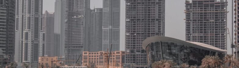 India UAE economic partnership