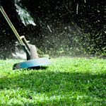 lawn and garden maintenance