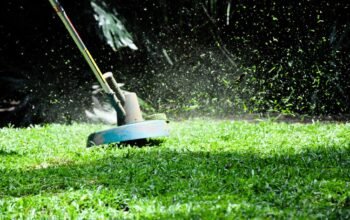 lawn and garden maintenance