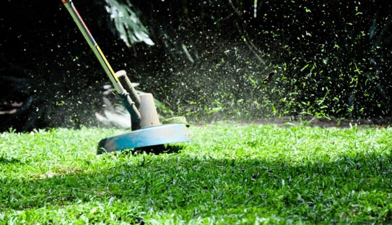 lawn and garden maintenance