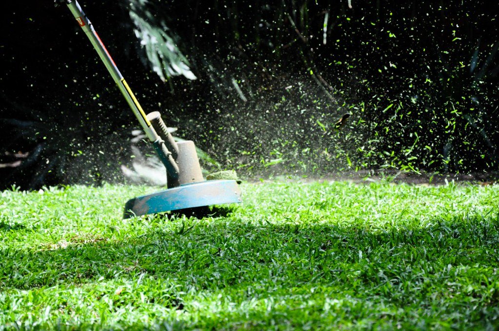 Lawn and Garden Maintenance: What Are the Best Solutions?