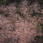 water shortage effects