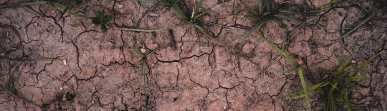 water shortage effects
