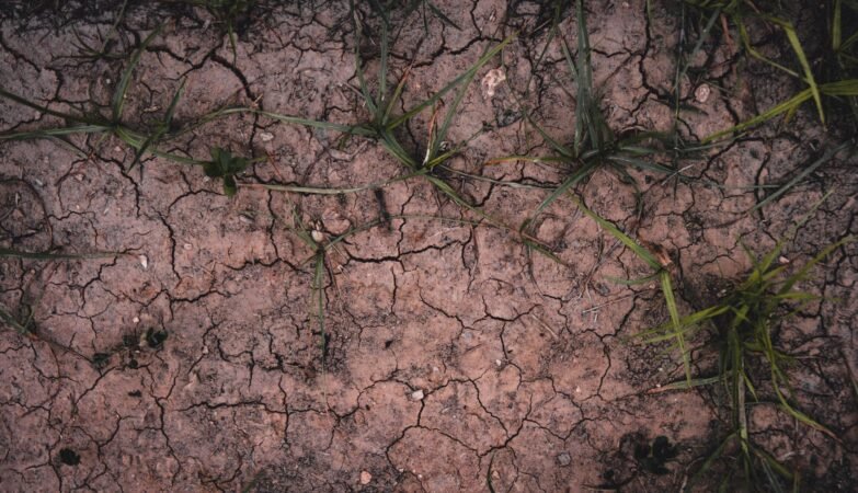 water shortage effects